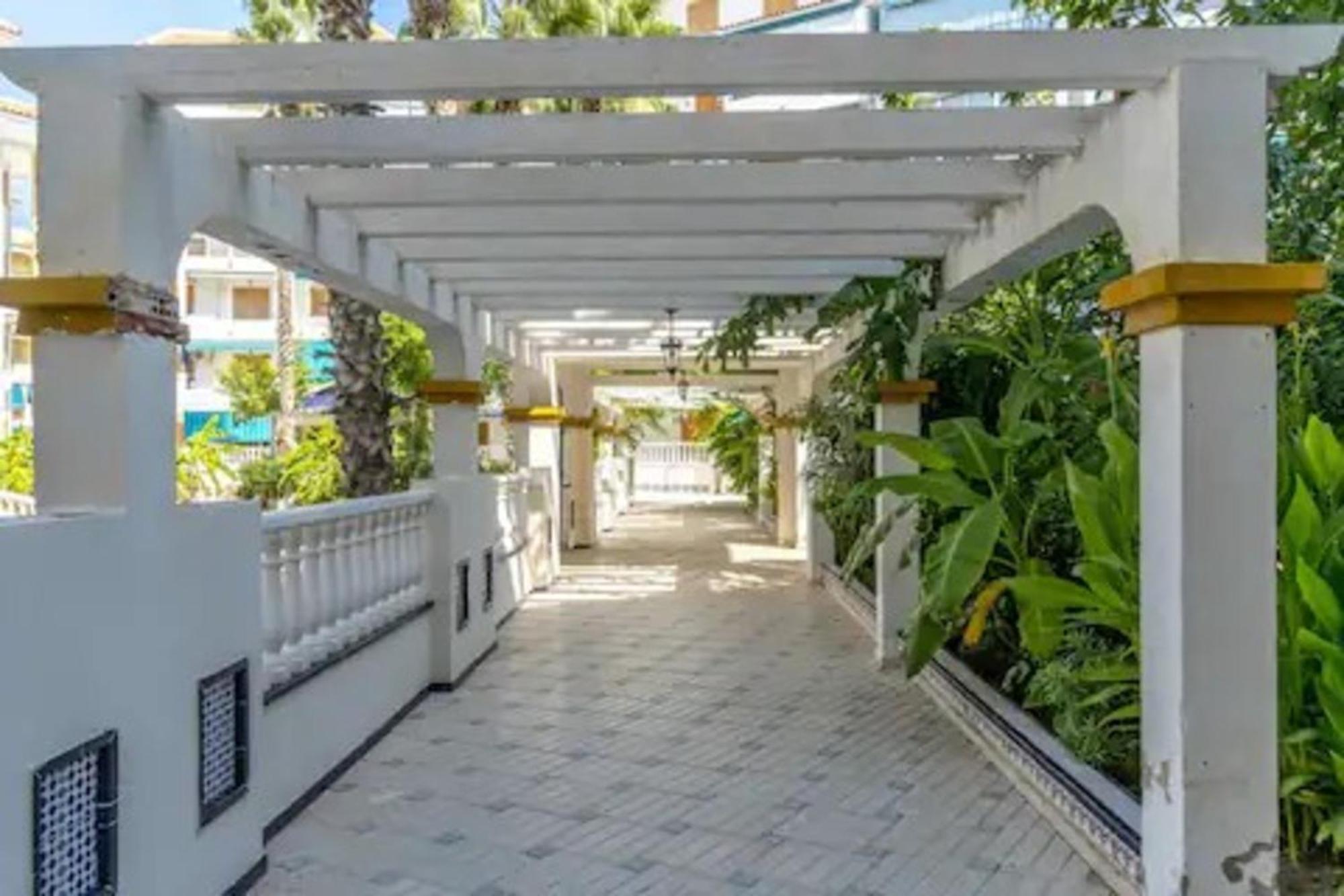 לה מאטה Pmt17 - Penthouse Apartment With Pool And Close To Beach מראה חיצוני תמונה